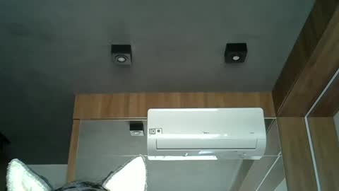 Snapshot of skinnykittencam chatting on 3, 10, 2025 skinnykittencam online show from 3, 10, 2025