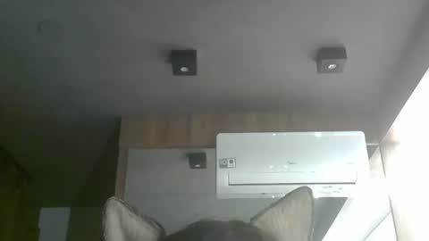 Snapshot of skinnykittencam chatting on 5, 10, 2025 skinnykittencam online show from 5, 10, 2025