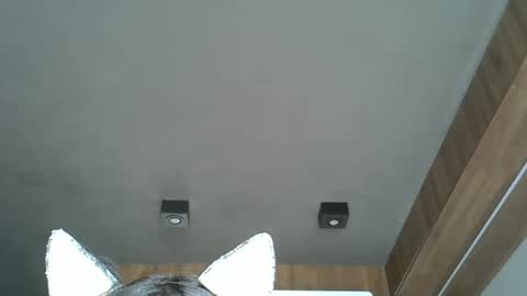 Snapshot of skinnykittencam chatting on 7, 10, 2025 skinnykittencam online show from 7, 10, 2025