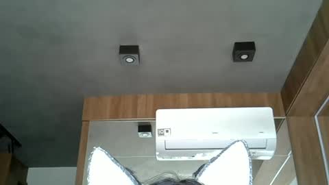 Snapshot of skinnykittencam chatting on 14, 10, 2025 skinnykittencam online show from 14, 10, 2025