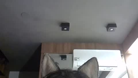 Snapshot of skinnykittencam chatting on 5, 11, 2025 skinnykittencam online show from 5, 11, 2025