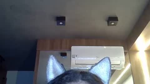 Snapshot of skinnykittencam chatting on 10, 11, 2025 skinnykittencam online show from 10, 11, 2025