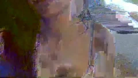 Snapshot of skinnykittencam chatting on 16, 11, 2025 skinnykittencam online show from 16, 11, 2025