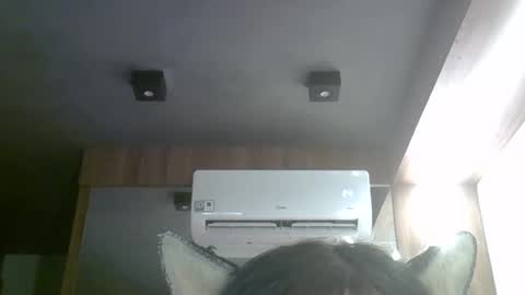 skinnykittencam online show from 20, 4, 2026