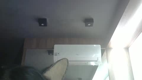 skinnykittencam online show from 4, 5, 2026