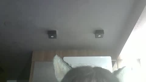 skinnykittencam online show from 8, 5, 2026