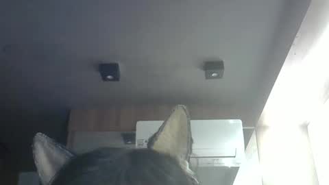 skinnykittencam online show from 14, 5, 2026