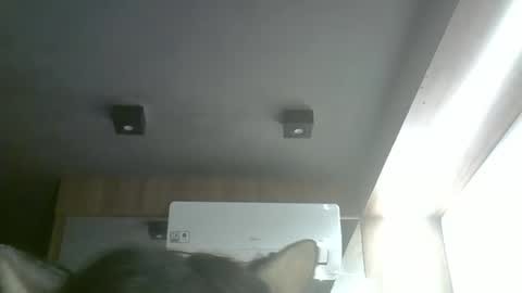 skinnykittencam online show from 17, 5, 2026