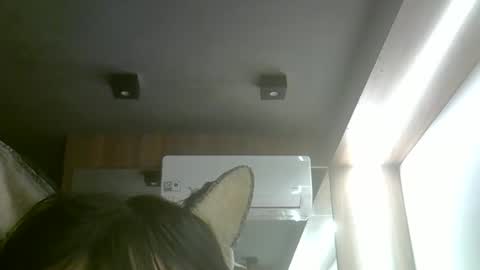 skinnykittencam online show from 18, 5, 2026