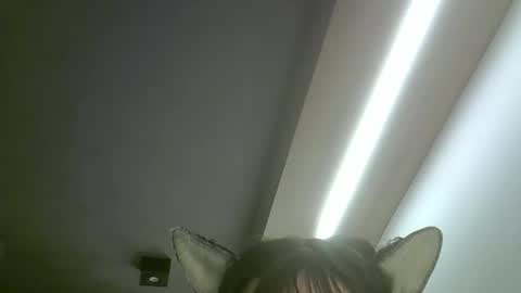skinnykittencam online show from 19, 5, 2026