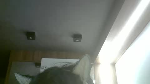 skinnykittencam online show from 20, 5, 2026