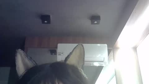 skinnykittencam online show from 21, 5, 2026