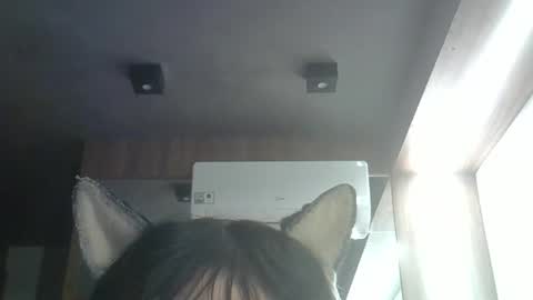 skinnykittencam online show from 23, 5, 2026