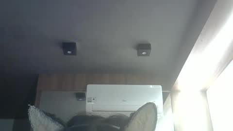 skinnykittencam online show from 24, 5, 2026