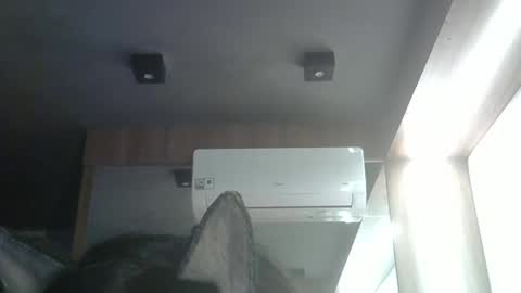 skinnykittencam online show from 24, 5, 2026