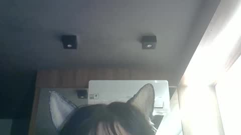 skinnykittencam online show from 26, 5, 2026