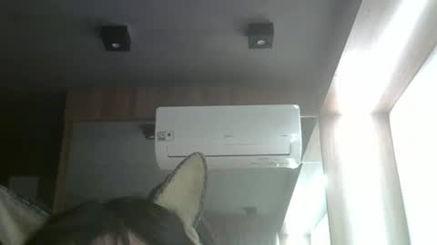 skinnykittencam online show from 26, 5, 2026