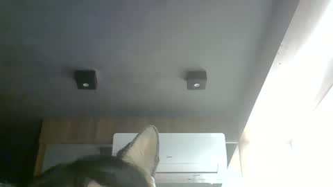skinnykittencam online show from 28, 5, 2026