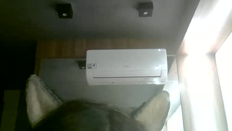 Snapshot of skinnykittencam chatting on 14, 6, 2026 skinnykittencam online show from 14, 6, 2026