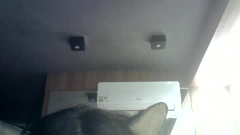 Snapshot of skinnykittencam chatting on 23, 6, 2026 skinnykittencam online show from 23, 6, 2026