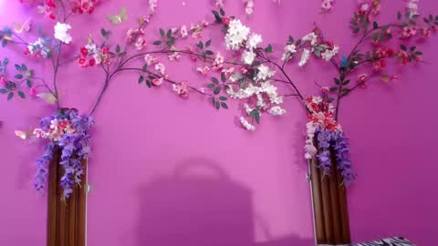 Snapshot of skinnysofia18 chatting on 4, 6, 2026 sofia online show from 4, 6, 2026