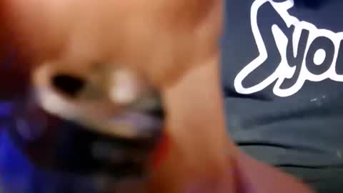 skunk8p online show from 11, 1, 2026