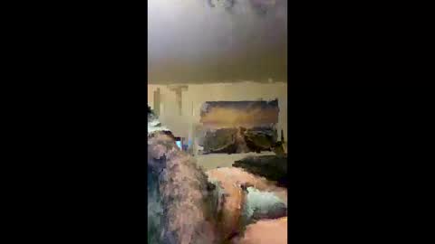 Sky online show from 15, 2, 2026