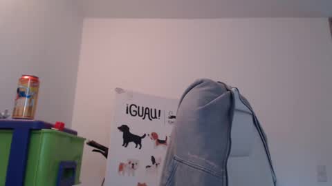 Skyler online show from 17, 2, 2025