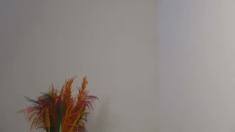 Bella online show from 3, 2, 2025