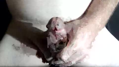 Z online show from 4, 2, 2026