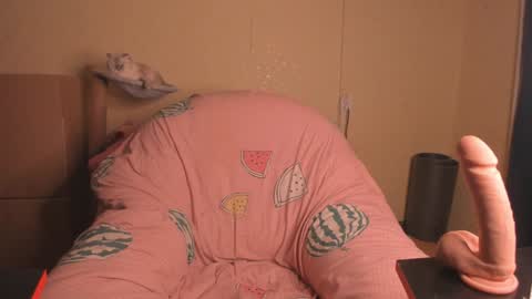 Snapshot of slaty_sugar chatting on 20, 1, 2025 Nika online show from 20, 1, 2025