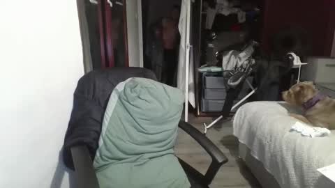 Slim984 online show from 4, 11, 2025