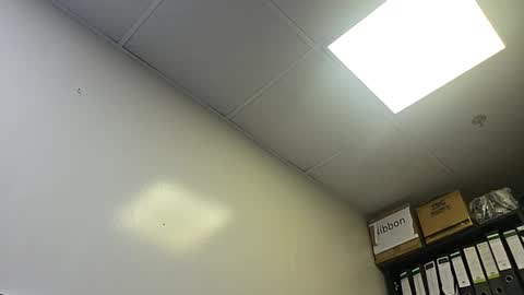 slothslav online show from 28, 10, 2025