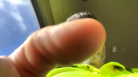 Abuse me online show from 1, 3, 2026