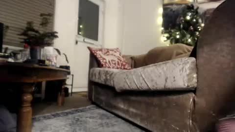 Slut Suzy online show from 23, 12, 2024