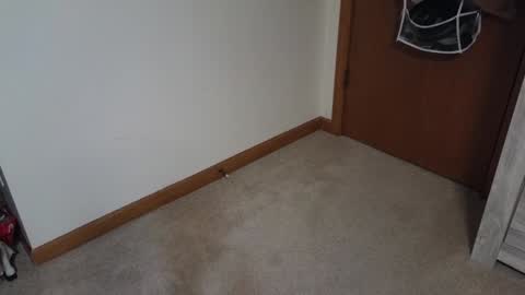 Sluttysofia online show from 6, 1, 2025