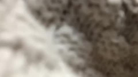 sluttysubbyslav online show from 17, 12, 2025