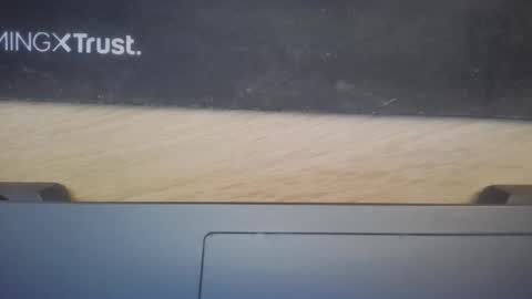 small_tom_ass online show from 12, 1, 2026