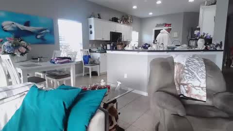 Daddy online show from 25, 12, 2024