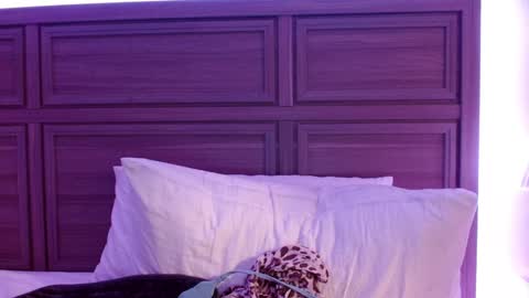 Snapshot of smexy_bun chatting on 20, 12, 2024 Smexy online show from 20, 12, 2024