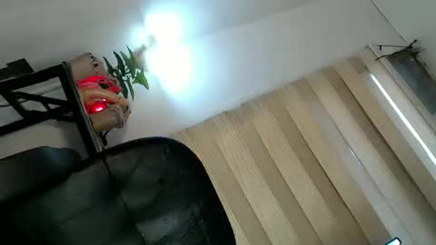 Amanda online show from 7, 12, 2024
