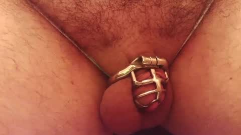 Snapshot of snakepit31 chatting on 5, 10, 2025 Sissy Boy online show from 5, 10, 2025