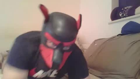 SoftPuppy online show from 9, 1, 2026