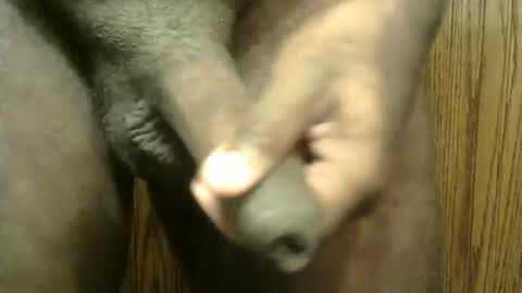 snkr1244 online show from 11, 1, 2025