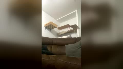 snowball5499 online show from 13, 3, 2026