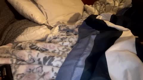 Lets play n party online show from 19, 1, 2026