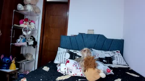 Snapshot of sofia86379 chatting on 17, 3, 2026 sofia86379 online show from 17, 3, 2026