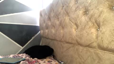 Snapshot of sofia_jimenezz chatting on 4, 11, 2025 Sofia Jimenez online show from 4, 11, 2025