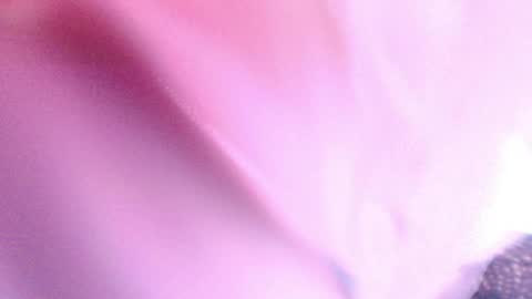 Sofiamillerrs online show from 23, 1, 2025