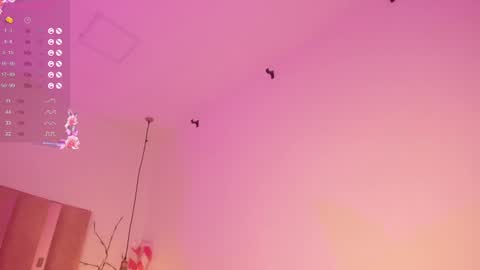 Snapshot of sofiesoft chatting on 27, 12, 2024 Sofie online show from 27, 12, 2024